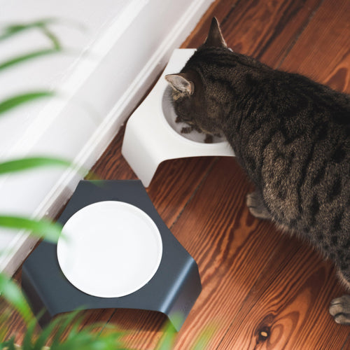 2 Pezzi Rotondo Tappetino Ciotole Gatto 27cm, Tappetini Sottociotola per Cani, Tappetino Rotondo in Silicone, Tappetino per Ciotola di Cibo Antiscivolo per Animali Domestici Medi e Piccoli
