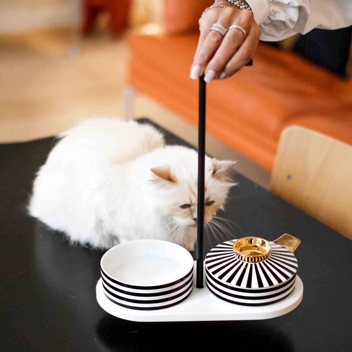 Choupette dining at table