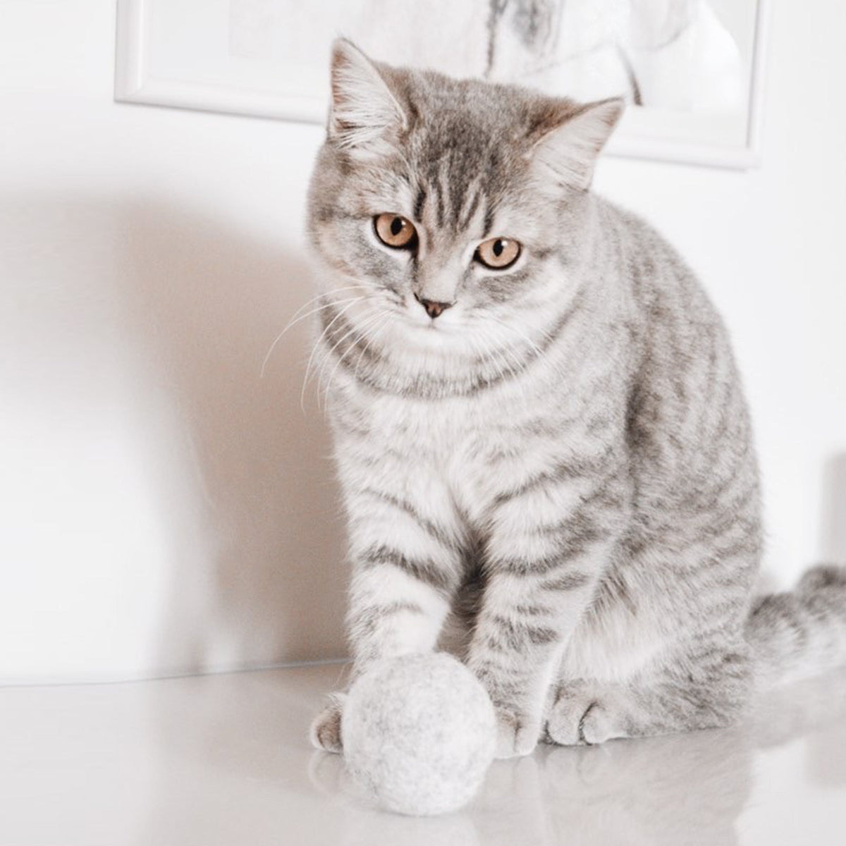 Filzball mit Katzenminze - LucyBalu