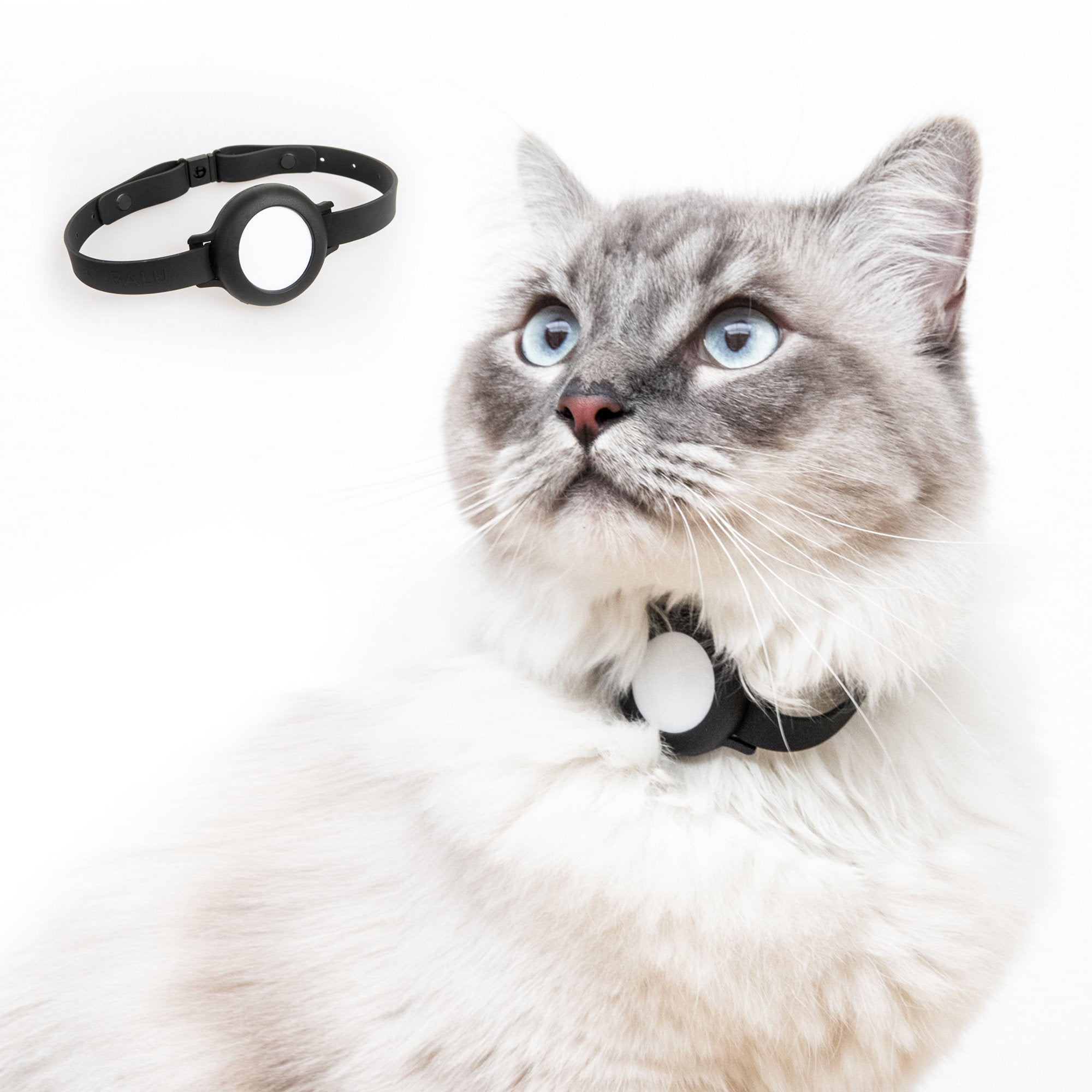 Collier Chat Anti Étranglement avec Emplacement pour Airtag en Silicon –  Pour toi Mon chat